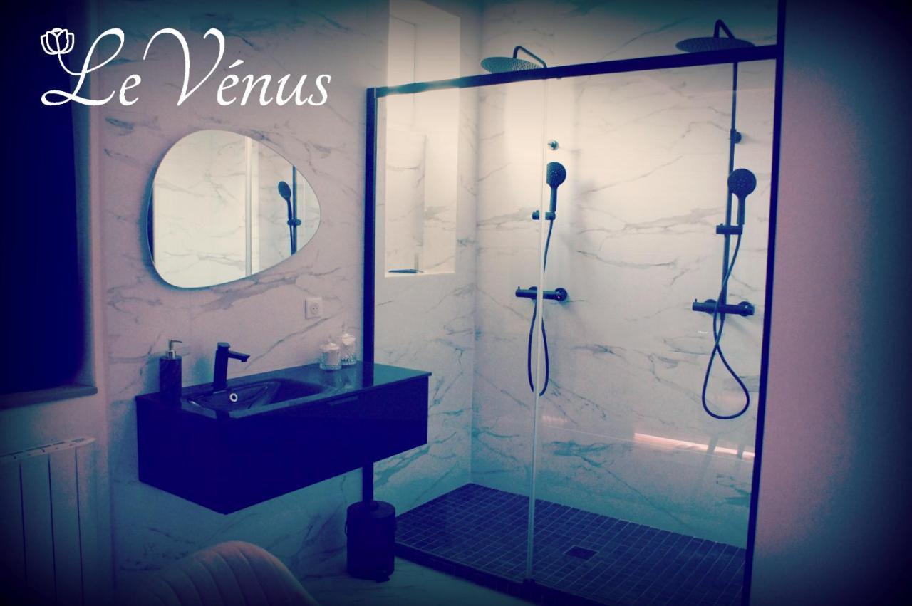 Le Venus - Appartement Spa Privatif Balneo Sauna Dijon Buitenkant foto